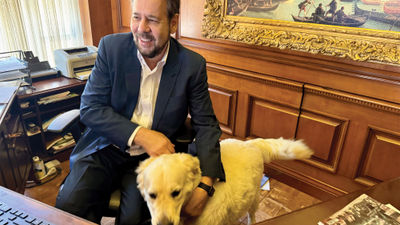 Steve Perillo, owner of Perillo Tours, brings his five-year old white Labrador Romeo to the company's Woodcliff, N.J. office every day.
