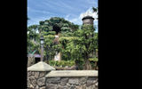 Tiana's Bayou Adventure opened at the Walt Disney World Resort's Magic Kingdom on June 28.