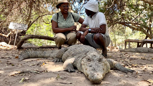 Tours editor Nicole Edenedo gets up-close and personal with a crocodile at Kachikally Crocodile Pool during a call on Variety Cruises' West Africa itinerary.