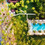 Viva Resorts by Wyndham creates agent rewards program