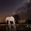 A luxury hide in Botswana's Mashatu reserve that should click with photographers