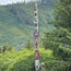 Viewing eagles and towering totems on a tour of Ketchikan