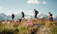 EF World Journeys caters to young adult travel and adventure and guided tours.