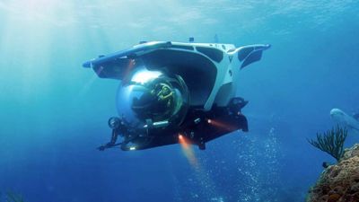Diving in a submarine can unlock new worlds for cruise passengers.