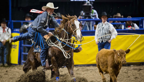 Riley Webb competes at the Wrangler National Finals Rodeo at the Thomas & Mack Center in 2023. Riley Webb competes at the Wrangler National Finals Rodeo at the Thomas & Mack Center in 2023.