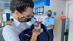 Capt. Kate McCue with her cat, Bug Naked, in 2021 on the bridge of the Celebrity Edge. Bug was a well-known personality among crew and passengers.