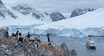 The Quark Ultramarine sits in Orne Harbor awaiting guests' return from climbing to the top of an overlook to observe chinstrap penguins and their chicks.