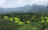 Kaua'i, Hawai'i's fourth largest island, is nicknamed the "Garden Isle" due to tropical rainforests, waterfalls and green valleys covering much of the island. Mount Waialeale, pictured here, is one of the wettest places on earth.