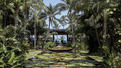 Lotus ponds at the Anantara Bophut Koh Samui Resort, one of the properties that is a setting for the third season of "The White Lotus."