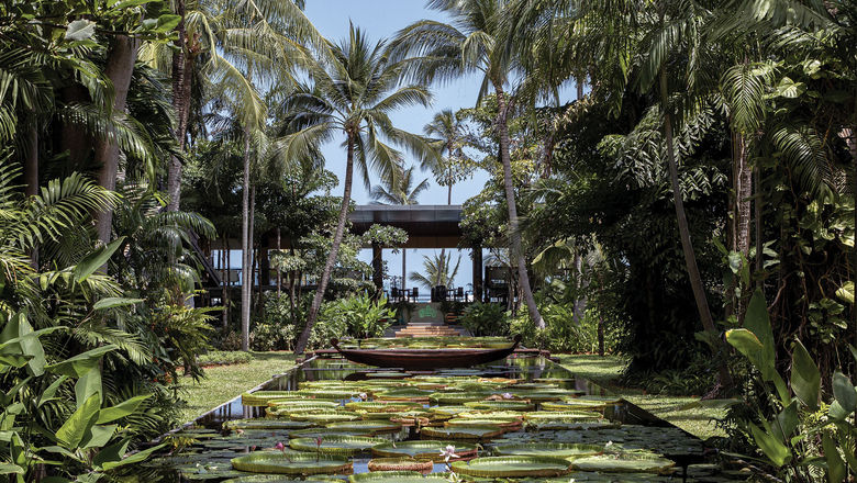 Lotus ponds at the Anantara Bophut Koh Samui Resort, one of the properties that is a setting for the third season of "The White Lotus."