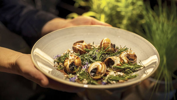 Escargot served on microgreens and ground chocolate at the Hotel Adriatic's Brasserie Adriatic.