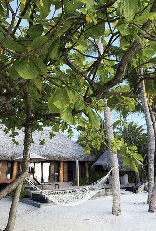 The 35 villas at The Brando are positioned to maximize privacy.