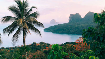 The islands of Sao Tome and Principe are home to 120 bird species and four turtle species, with rainforests covering 90% of the island of Principe, above.