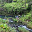 A popular spot on Maui's Road to Hana is closed