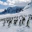 G Adventures replaces polar expedition ship