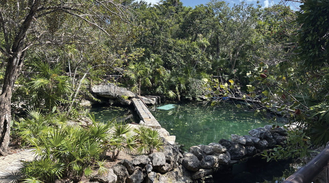 Xcaret Park, a 200-acre ecological park, includes swaths of jungle. Pictured here is the manatee lagoon, home to two rescued manatees.