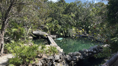 Xcaret Park, a 200-acre ecological park, includes swaths of jungle. Pictured here is the manatee lagoon, home to two rescued manatees.