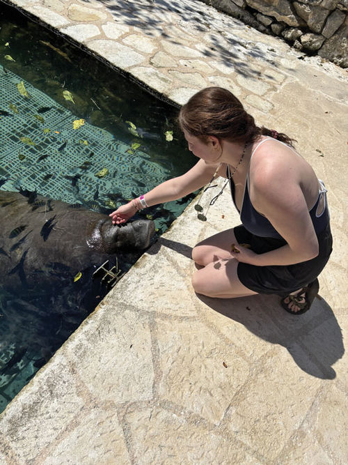 Tours and river cruises editor Brinley Hineman feeds and pets a manatee at Xcaret Park. The park is home to two rescued manatees.