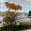 Gaylord Pacific opens near San Diego