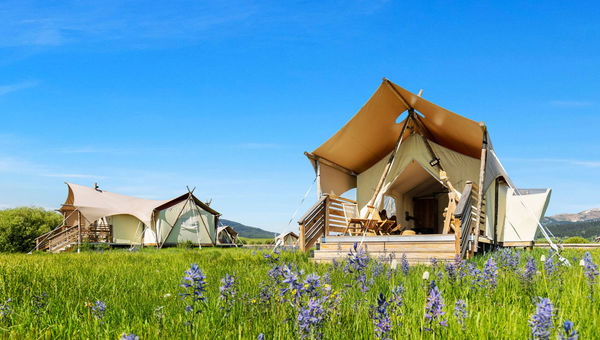 Tauck will offer stays at Under Canvas Yellowstone in 2026.