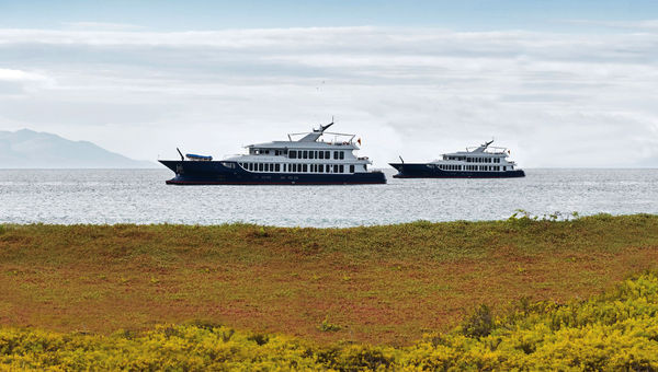 Ecoventura's luxury expedition yachts Origin and Theory in the Galapagos. Their intimate libraries stock evolutionary texts including Darwin's "On the Origin of the Species" alongside modern fiction.
