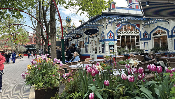 Colorful flowers come to life in Copenhagen's Tivoli Gardens during spring.