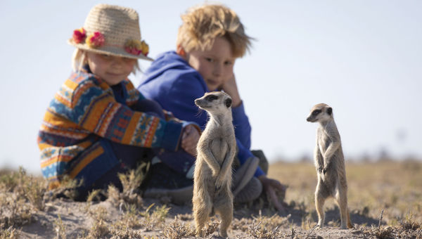 Children have an up-close encounter with meerkats on a Pelorus tour.