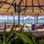 Thompson Zihuatanejo offers suite promotion