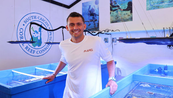 Camilo Lilleslatten is the associate director of sustainability at the Salterra Resort & Spa in Turks and Caicos Camilo Lilleslatten is the associate director of sustainability at the Salterra Resort & Spa in Turks and Caicos
