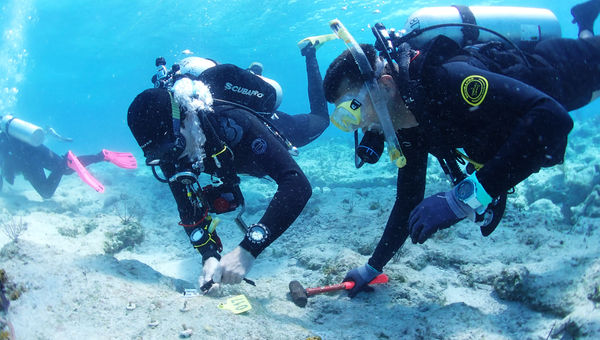 Salterra helped found the South Caicos Coral Reef Consortium, which supports reef restoration and research. Salterra helped found the South Caicos Coral Reef Consortium, which supports reef restoration and research.