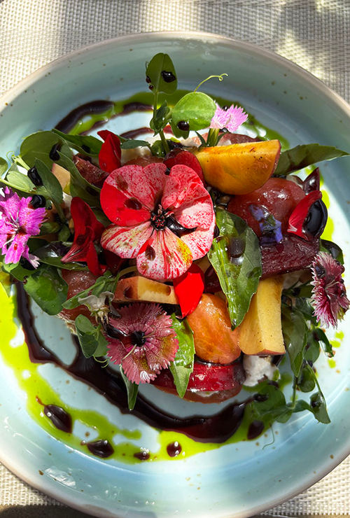 At Moxi, the heirloom tomato salad with stracciatella is a standout dish. At Moxi, the heirloom tomato salad with stracciatella is a standout dish.