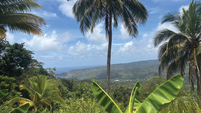 A view of St. Lucia's Mabouya Valley.