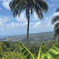 Community tourism elevates St. Lucia's experiences and empowers its locals