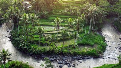 The Kimpton Bali Ubud will be located along a stretch of the Wos River.