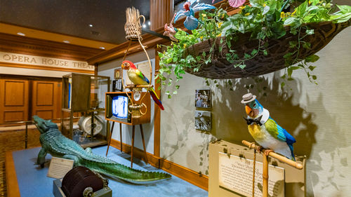 Uma exposição sobre a história da tecnologia de áudio-animatrônica na Main Street Opera House.