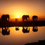 'Rivers of Life' itinerary breaks down borders for a rewarding safari experience
