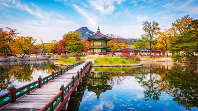 A new tour for 2026 from Trafalgar is a 10-day trip through South Korea.