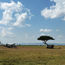 Private flight elevates Virgin luxury camps in Kenya