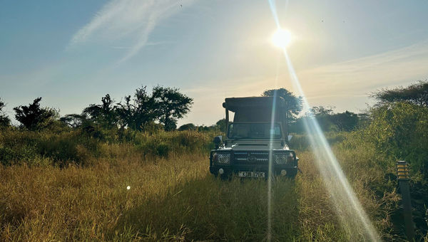 Game drive with Finche Hattons in TSAVO West National Park.