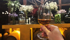 Enjoying a glass of white port at the Quinta da Pacheca vineyard in Cambres, Portugal.