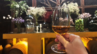 Enjoying a glass of white port at the Quinta da Pacheca vineyard in Cambres, Portugal.