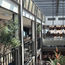 Riviera Rose lets the sunshine in on the Douro
