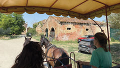 A horse-drawn carriage transported guests through the Vialto farm in the hills of Tuscany.
