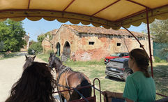 A horse-drawn carriage transported guests through the Vialto farm in the hills of Tuscany.