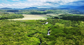 La Tovara National Park in San Blas is a sanctuary for migratory birds and other wildlife.