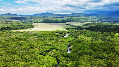 La Tovara National Park in San Blas is a sanctuary for migratory birds and other wildlife.