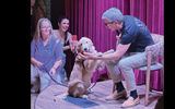 Royal Caribbean International CEO Michael Bayley plays with Chief Dog Officer Sailor on the Star of the Seas.