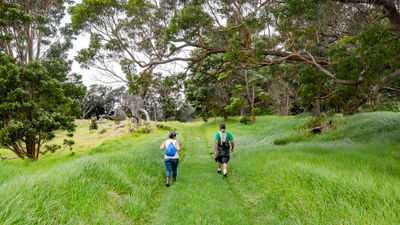 Hikers on the Lower Kona Trail in the Kahuku Unit of Hawaii Volcanoes National Park.