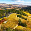 Rosewood hotel coming to California's wine country