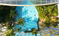Therme Bucharest features an indoor botanical garden with more than 1,500 palm trees.